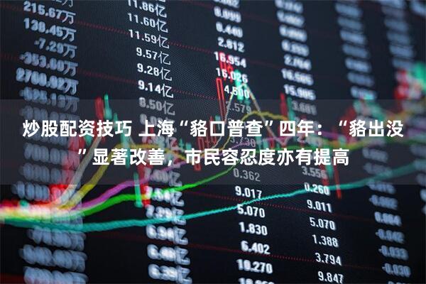 炒股配资技巧 上海“貉口普查”四年：“貉出没”显著改善，市民容忍度亦有提高